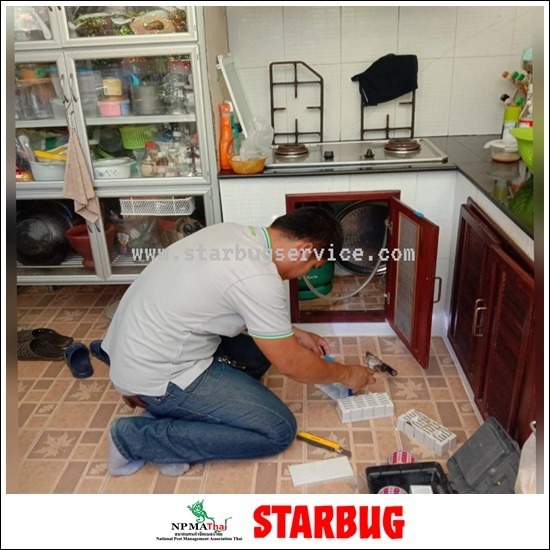 รับกำจัดปลวกระบบเหยื่อล่อกรุงเทพ ทดสอบบบบบบ