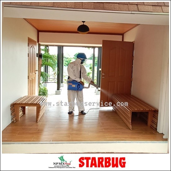 รับกำจัดปลวกกรุงเทพ