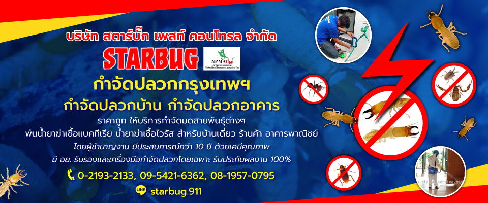 กำจัดปลวกกรุงเทพ