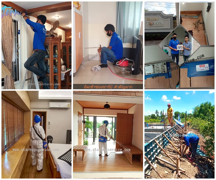 บริษัทรับกำจัดปลวก กรุงเทพฯ