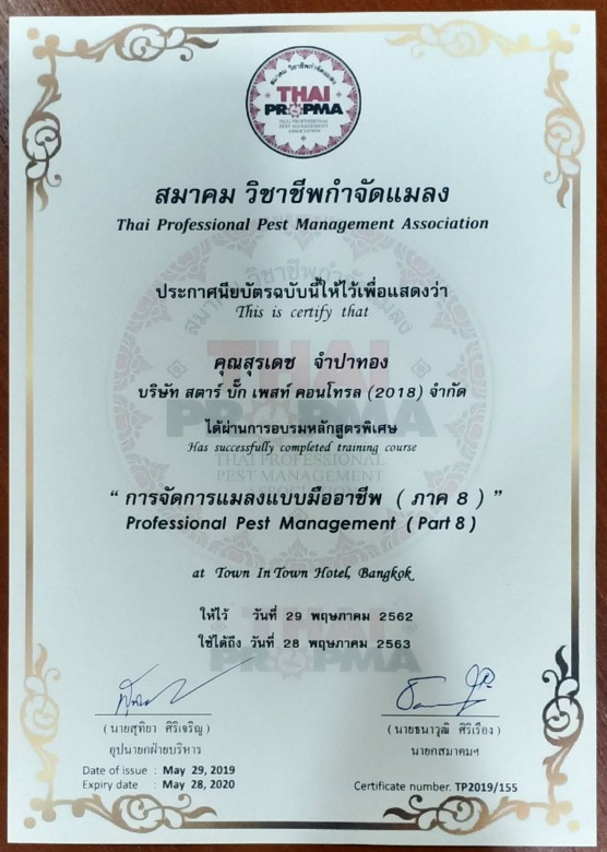 วางเหยื่อล่อปลวกกรุงเทพฯ